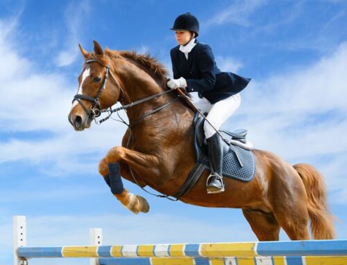 Door lang wachten met transport geen nultarief